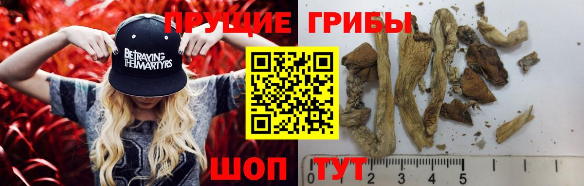 Псилоцибиновые грибы GOLDEN TEACHER  Галлюциногенные грибы мухоморы  Вход с VPN  Ирбит 